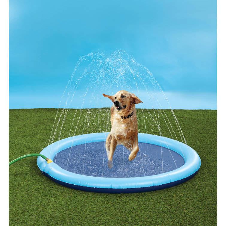 Tucker Murphy Pet™ Donoghue Sprinkler Pals Dog Pool Wayfair
